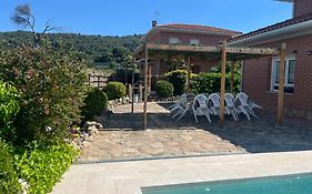 Gorriones